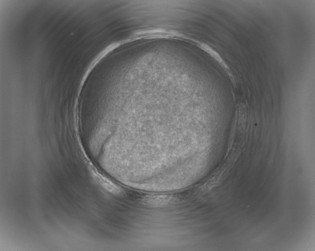 X0000082961474200702152253