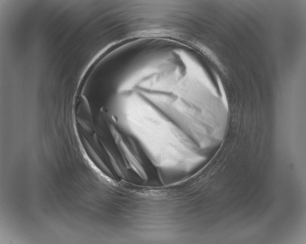 X0000082961476200702152253