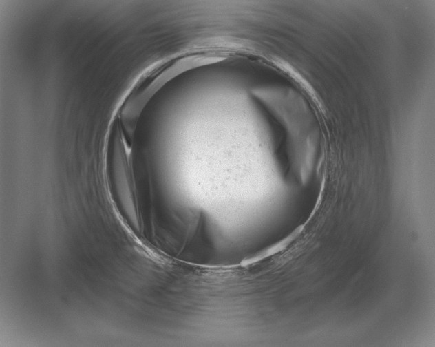 X0000082961477200702152253