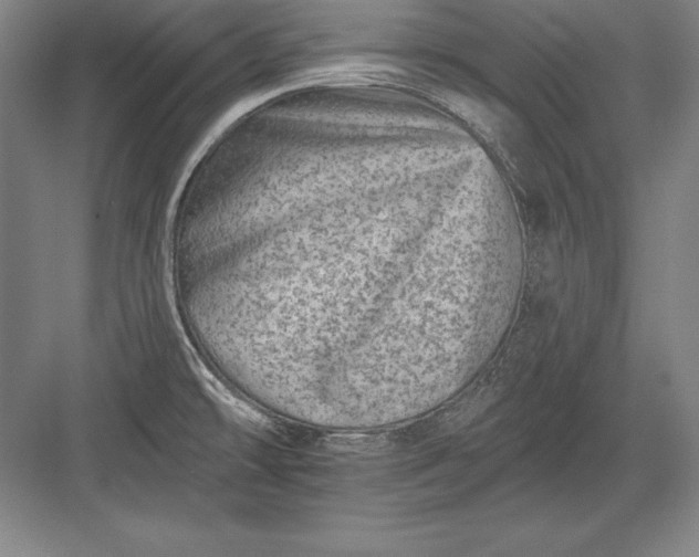 X0000082961478200702152253