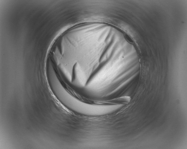 X0000082961480200702152253