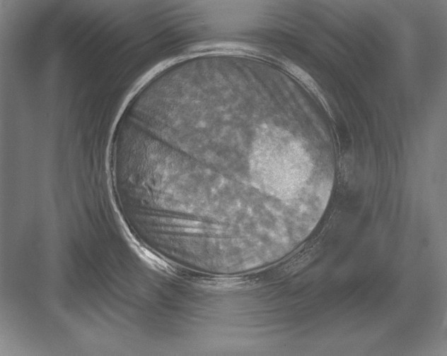 X0000082961482200702152253