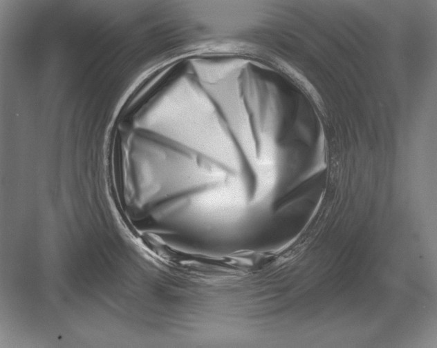 X0000082961483200702152253