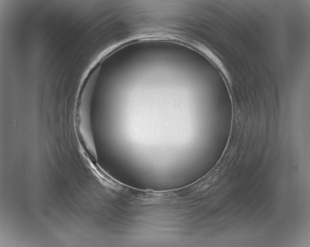 X0000082961485200702152253