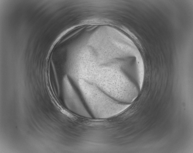 X0000082961486200702152253