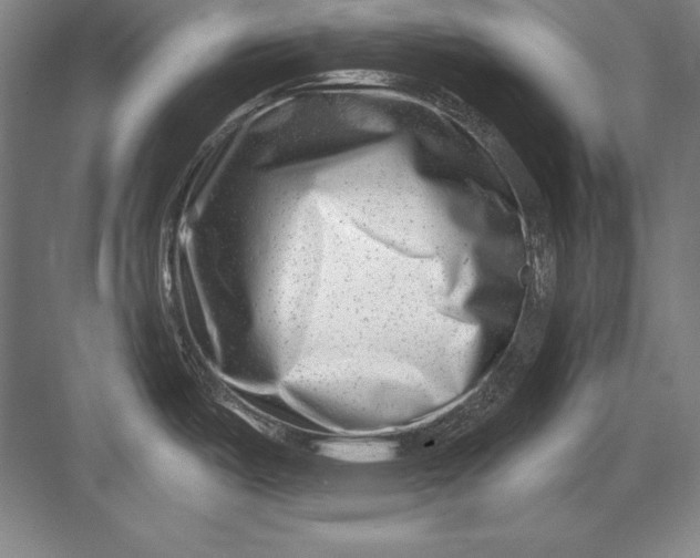 X0000082961487200702152253