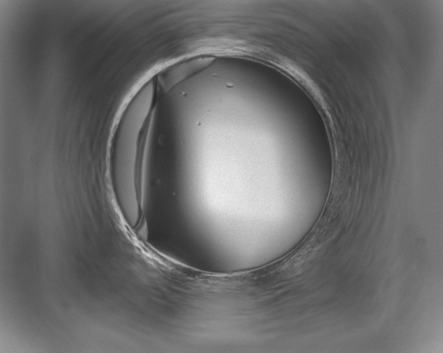 X0000082961488200702152253