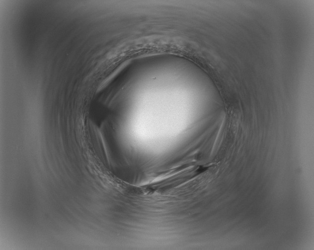 X0000082961489200702152252