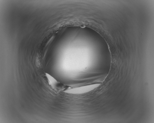 X0000082961490200702152252