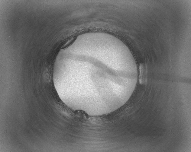 X0000082961491200702152252