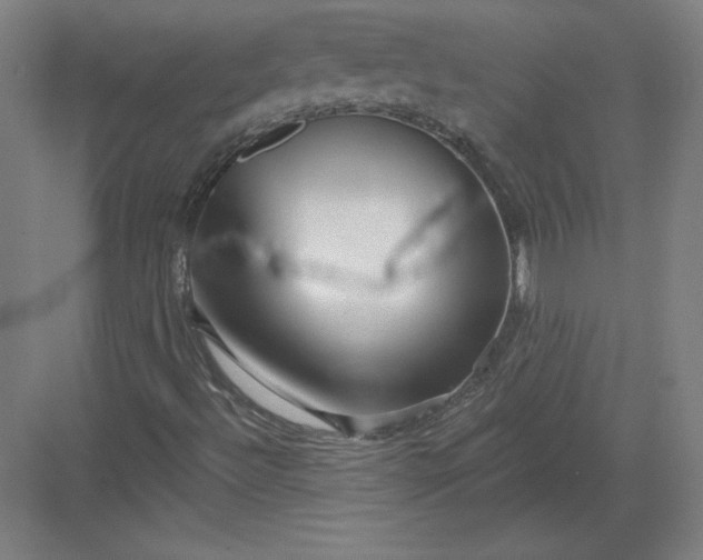 X0000082961492200702152252