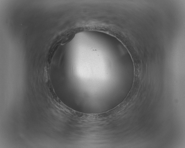 X0000082961493200702152252