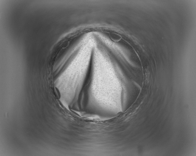 X0000082961494200702152252