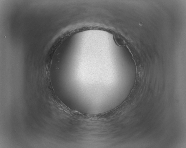 X0000082961495200702152252