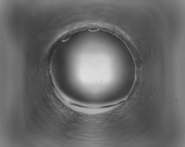 X0000082961496200702152252