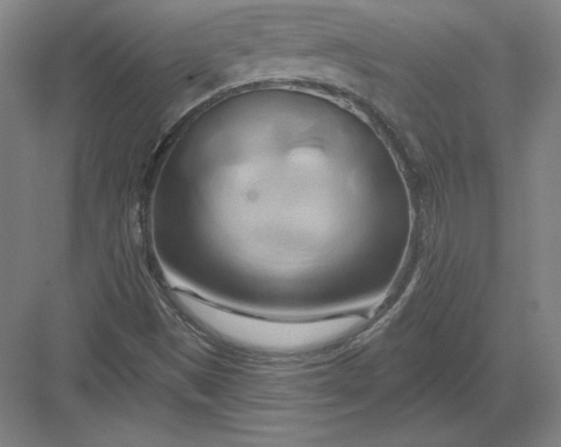 X0000082961497200702152252