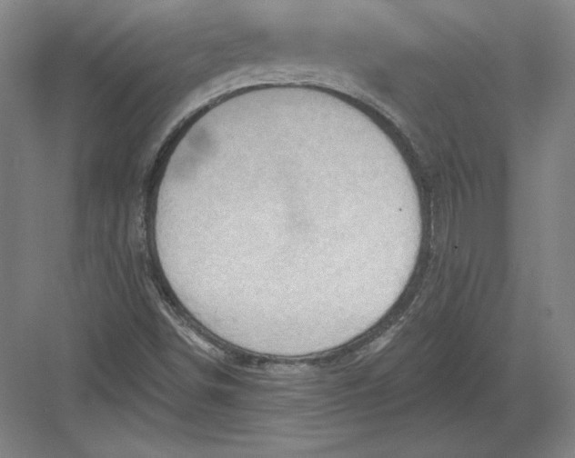 X0000082961498200702152252