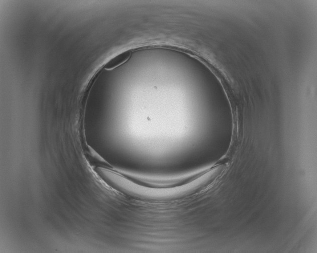 X0000082961500200702152252