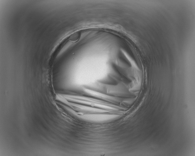 X0000082961501200702152252