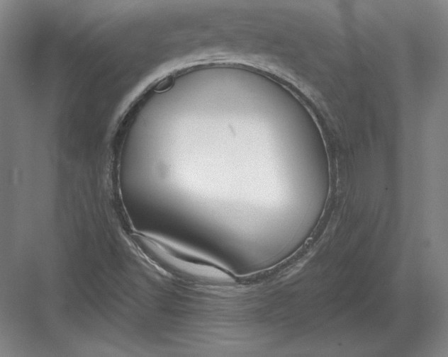 X0000082961502200702152252