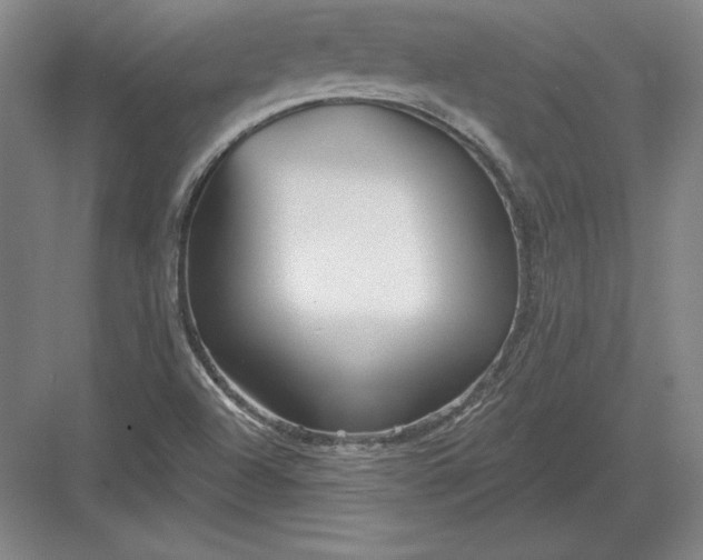 X0000082961504200702152252