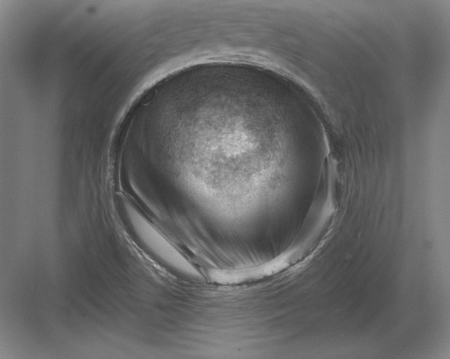 X0000082961506200702152252