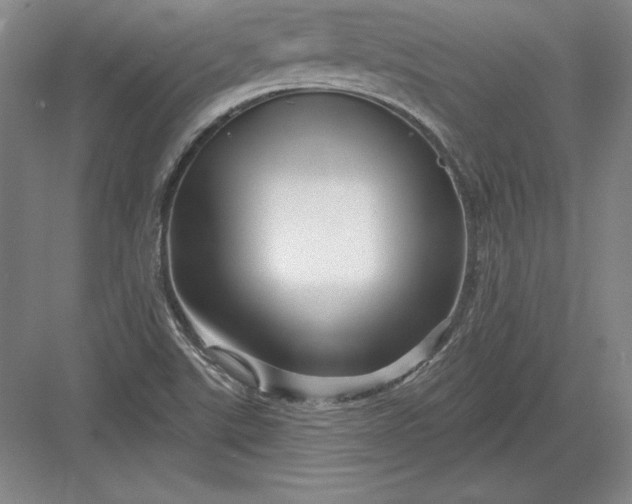 X0000082961507200702152252