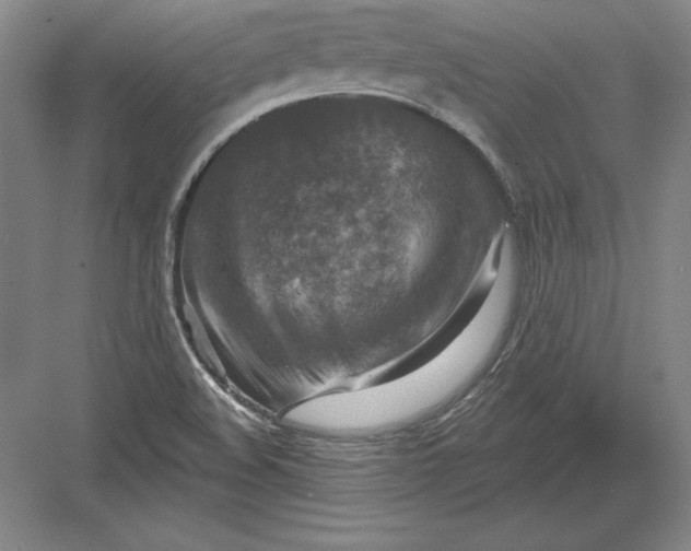 X0000082961508200702152252