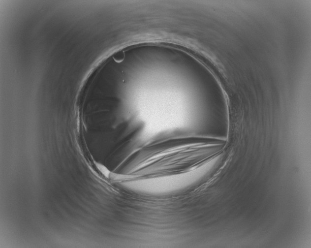 X0000082961509200702152252