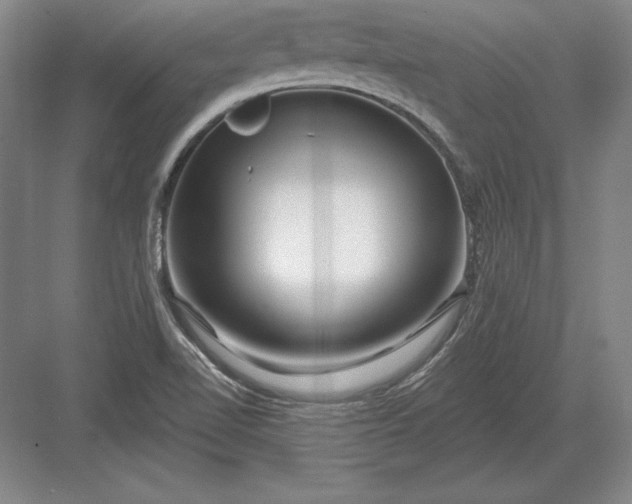 X0000082961510200702152252