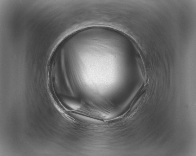 X0000082961511200702152252