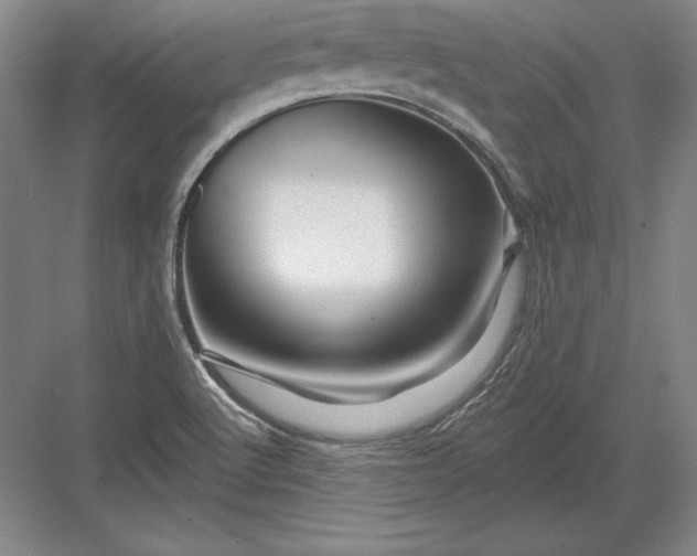 X0000082961512200702152252