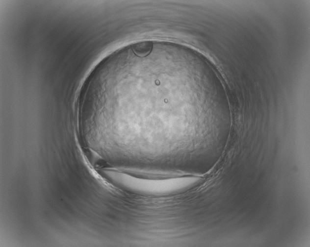 X0000082961515200702152252