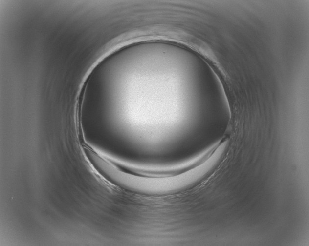 X0000082961516200702152252