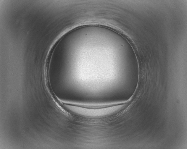 X0000082961517200702152252