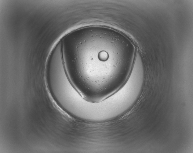 X0000082961518200702152252