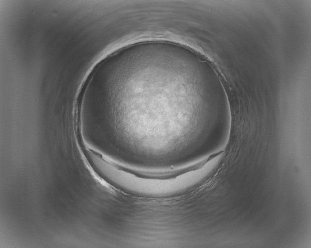 X0000082961519200702152252