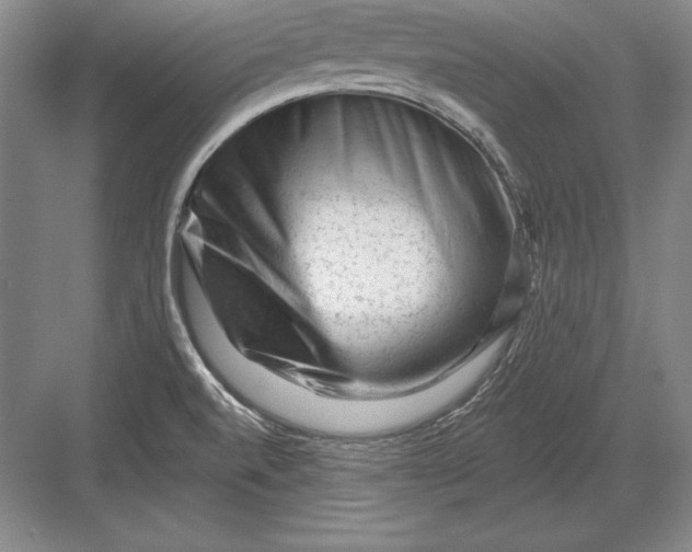 X0000082961520200702152252