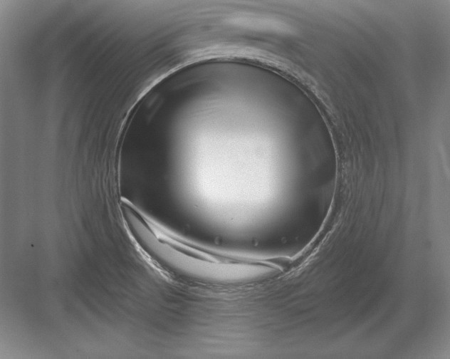 X0000082961521200702152252