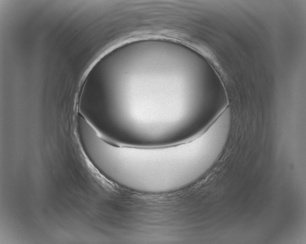 X0000082961524200702152252