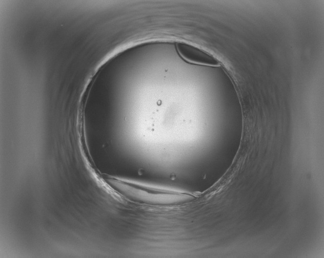 X0000082961526200702152252