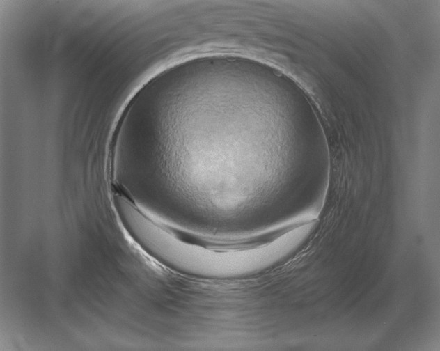 X0000082961527200702152252