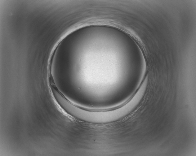 X0000082961528200702152252