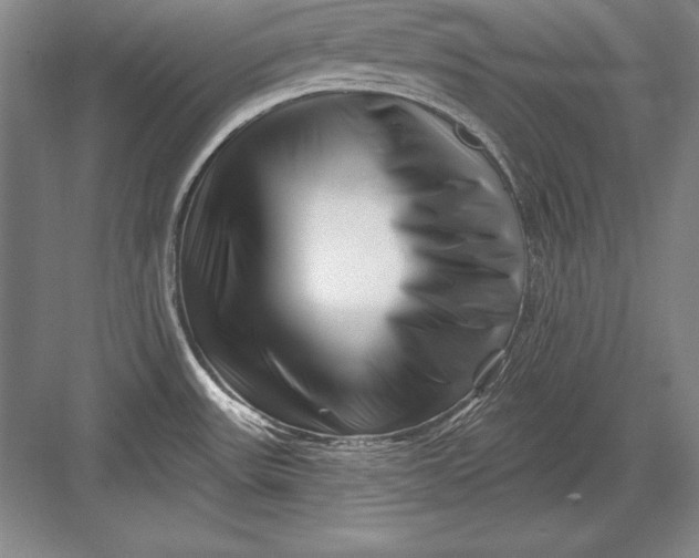 X0000082961531200702152253