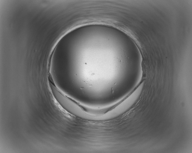 X0000082961532200702152253