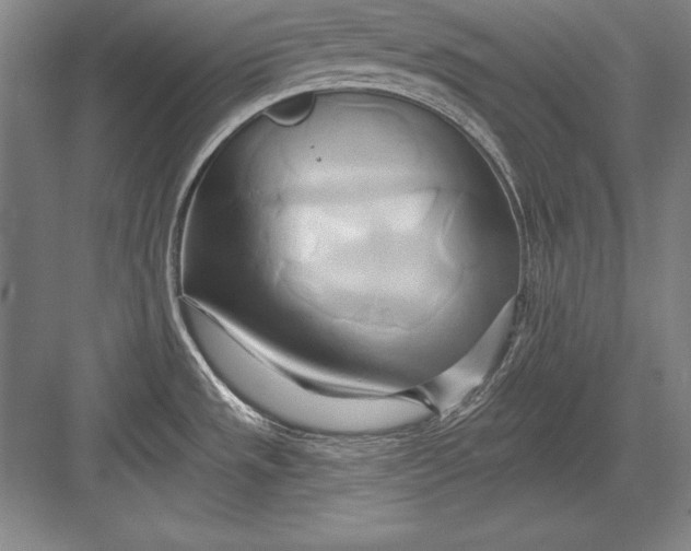 X0000082961533200702152253