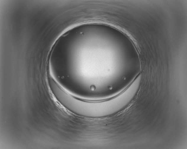 X0000082961534200702152253