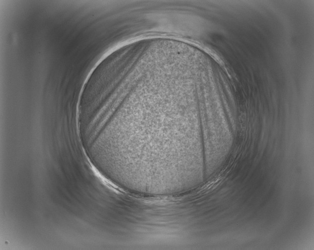 X0000082961535200702152253