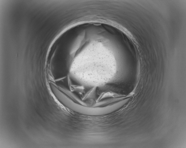 X0000082961536200702152253