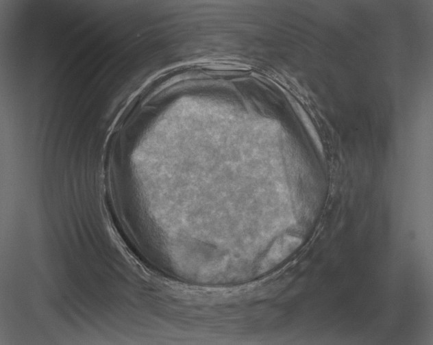 X0000082960002200702222352